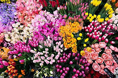 《小小梦魇3》新加坡评级出炉 描述提及暴力与恐怖元素